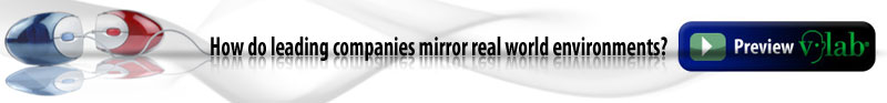 vlab_mirror.jpg